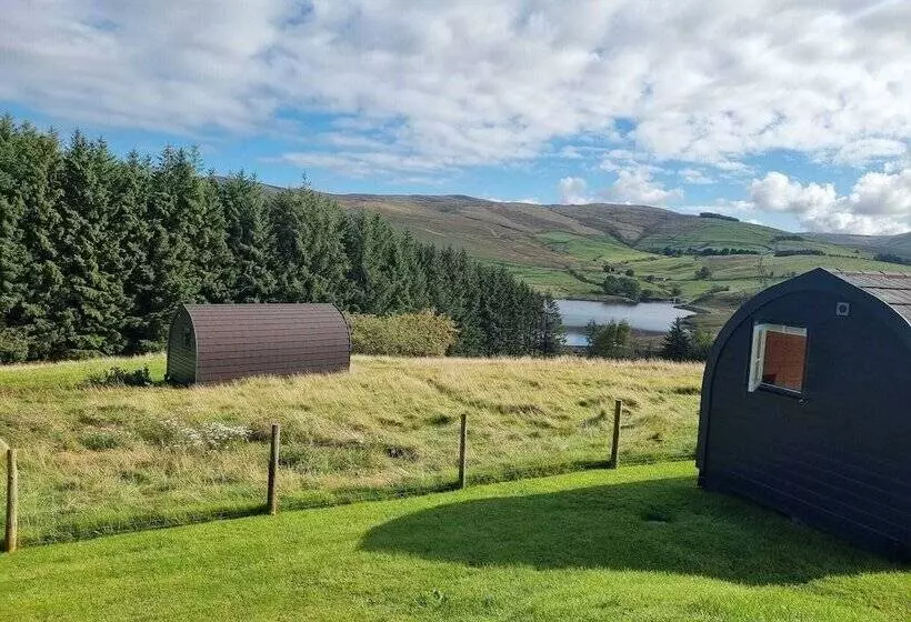Hotelli Forester S Retreat Glamping   Dinas View
