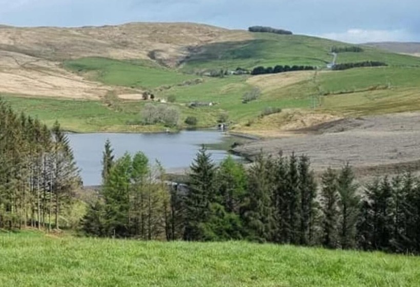 Отель Forester S Retreat Glamping   Dinas View