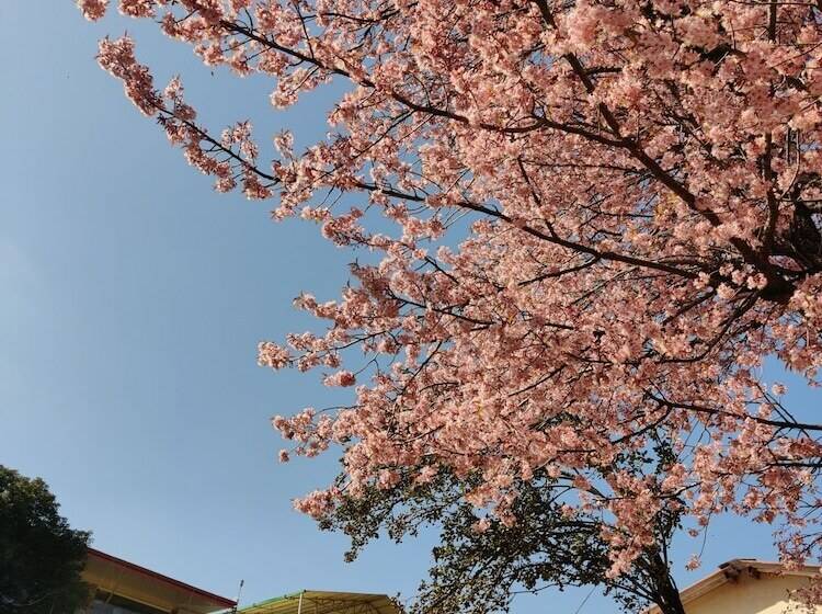 호텔 Saiva Hill Resort