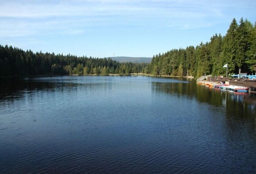 Hotel Waldpension Pfeiferhaus