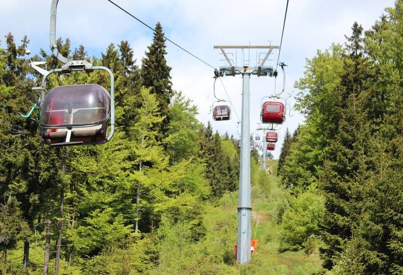 Hotel Waldpension Pfeiferhaus