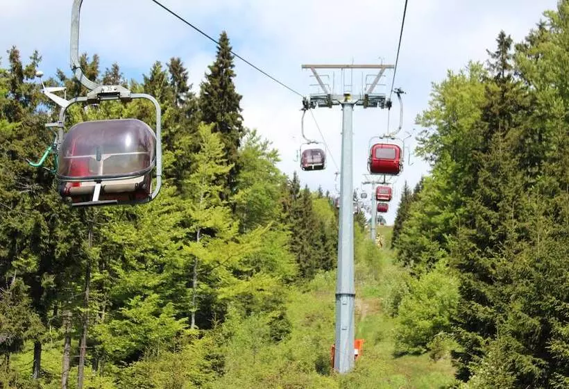 Hotelli Waldpension Pfeiferhaus