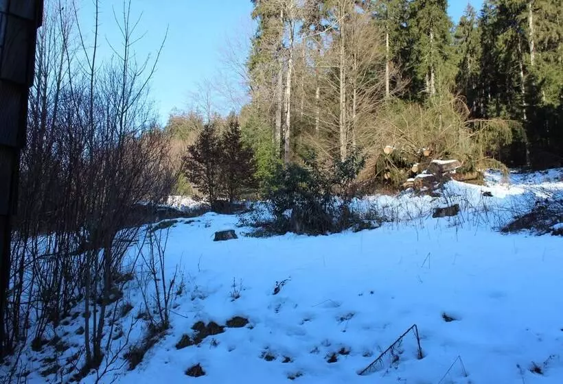 Hotelli Waldpension Pfeiferhaus