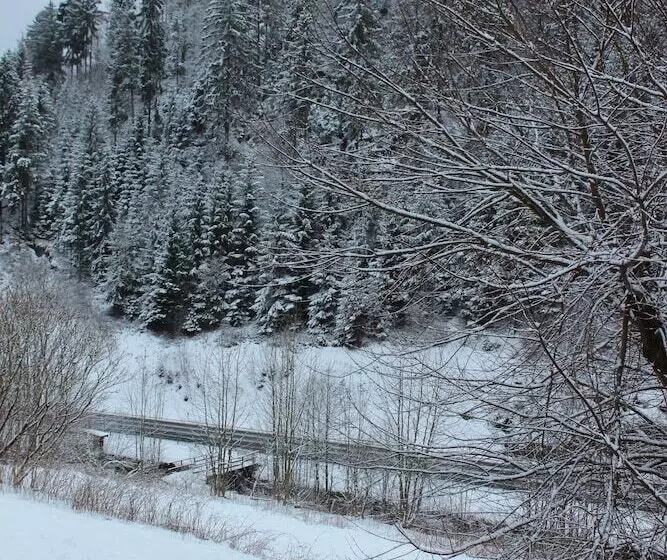 Hotelli Waldpension Pfeiferhaus