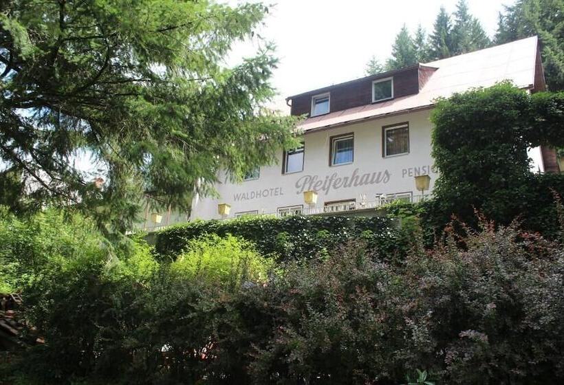 Hotel Waldpension Pfeiferhaus