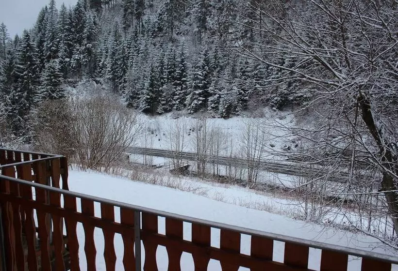 Hotelli Waldpension Pfeiferhaus