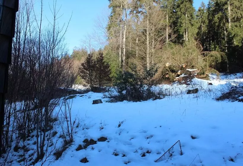 Hotelli Waldpension Pfeiferhaus