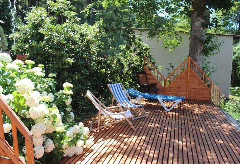 Hotel Waldpension Pfeiferhaus