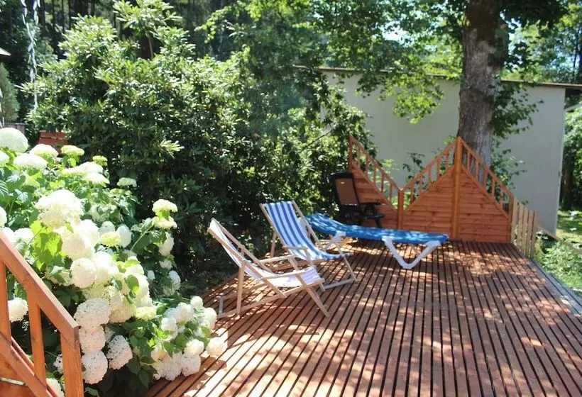 Hotelli Waldpension Pfeiferhaus