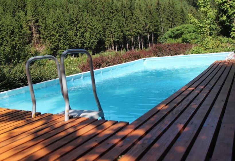 Hotel Waldpension Pfeiferhaus