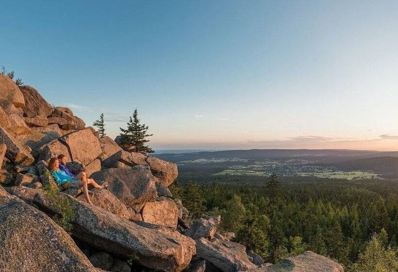 Hotel Waldpension Pfeiferhaus