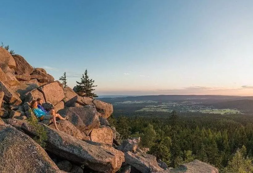 Hotelli Waldpension Pfeiferhaus