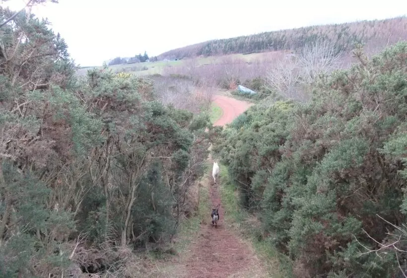 Kestrel, Longhouse Cottages