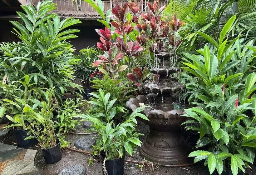 Maui What A Wonderful B&b Pineapple Ste