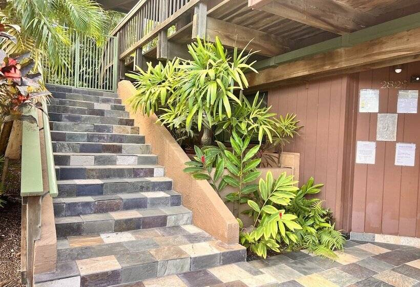 Maui What A Wonderful B&b Pineapple Ste