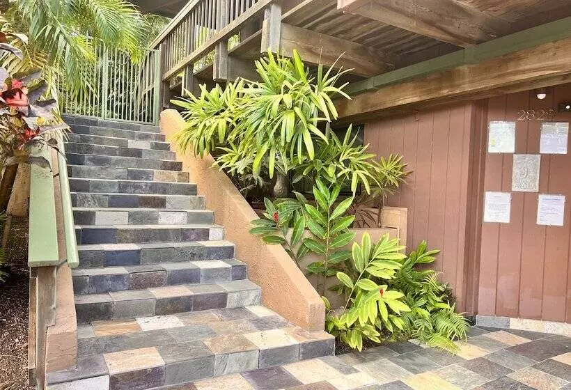 Maui What A Wonderful B&b Pineapple Ste