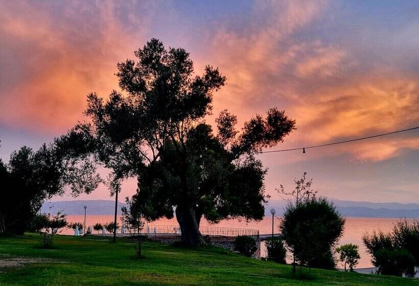 Hotelli O Paradise Beach Resort & Spa