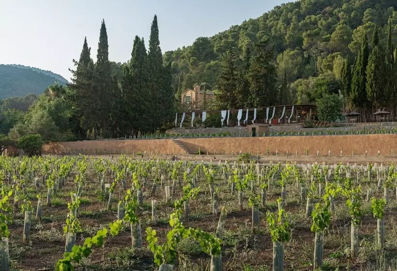 Maaseutuhotelli Rondaia Suites & Villas