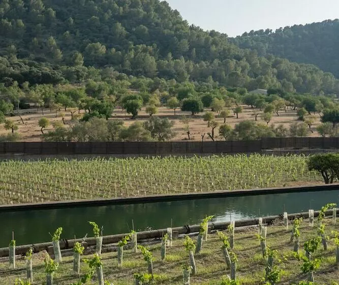 Maaseutuhotelli Rondaia Suites & Villas