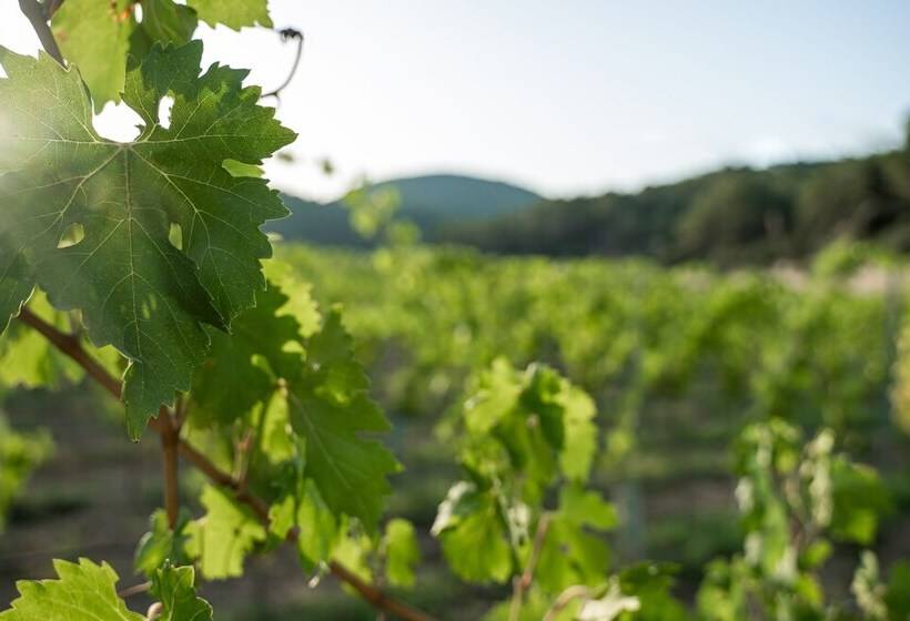 هتل روستایی Rondaia Suites & Villas