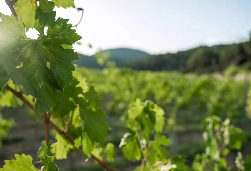 Maaseutuhotelli Rondaia Suites & Villas