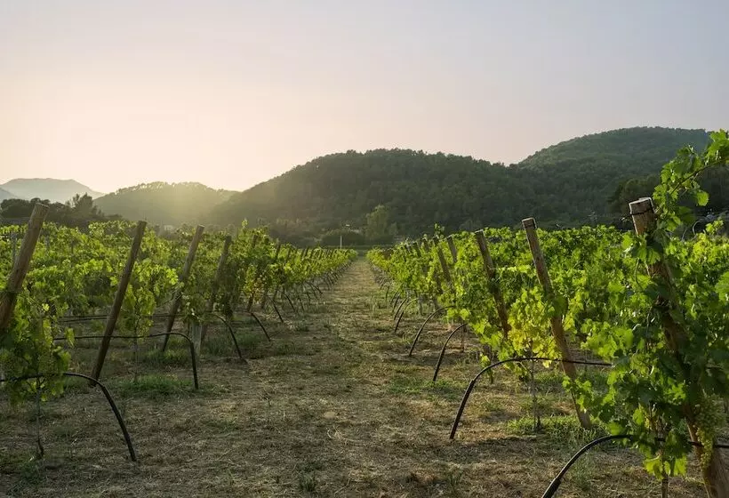 Maaseutuhotelli Rondaia Suites & Villas