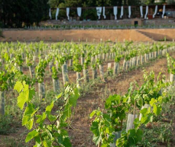 هتل روستایی Rondaia Suites & Villas