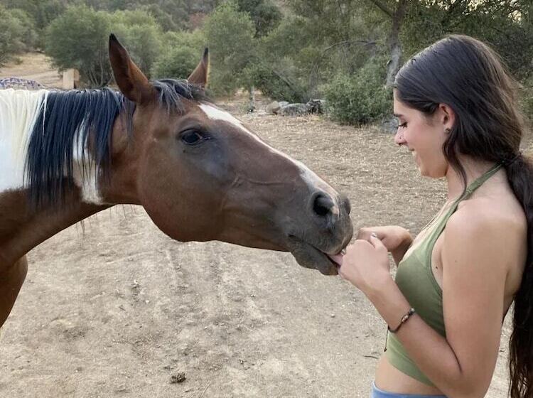 Off Grid 1 Bed Cabin In Yokuts Valley