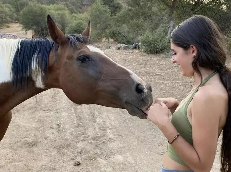 Off Grid 1 Bed Cabin In Yokuts Valley