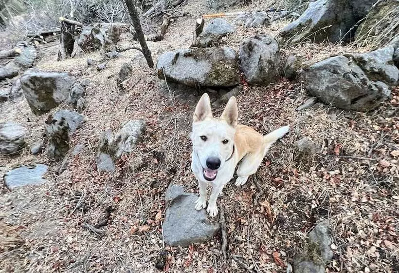 Off Grid 1 Bed Cabin In Yokuts Valley
