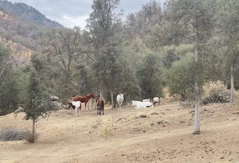Off Grid 1 Bed Cabin In Yokuts Valley