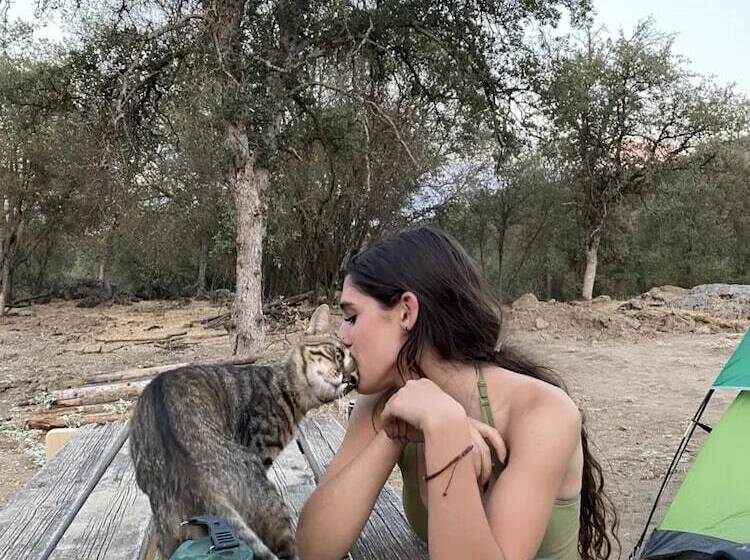 Off Grid 1 Bed Cabin In Yokuts Valley