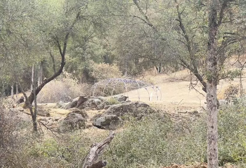 Off Grid 1 Bed Cabin In Yokuts Valley