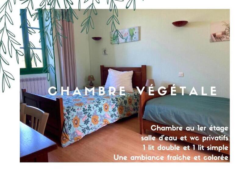 بنسيون La Maison Du Canal