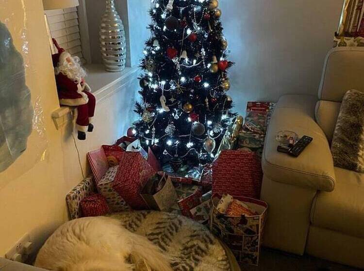 Rural Chapel Cottage, Near Airport, Bar & Hot Tub