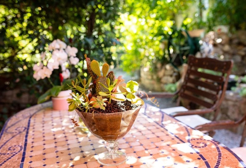 Bed and Breakfast Le Portel Des Arnaud