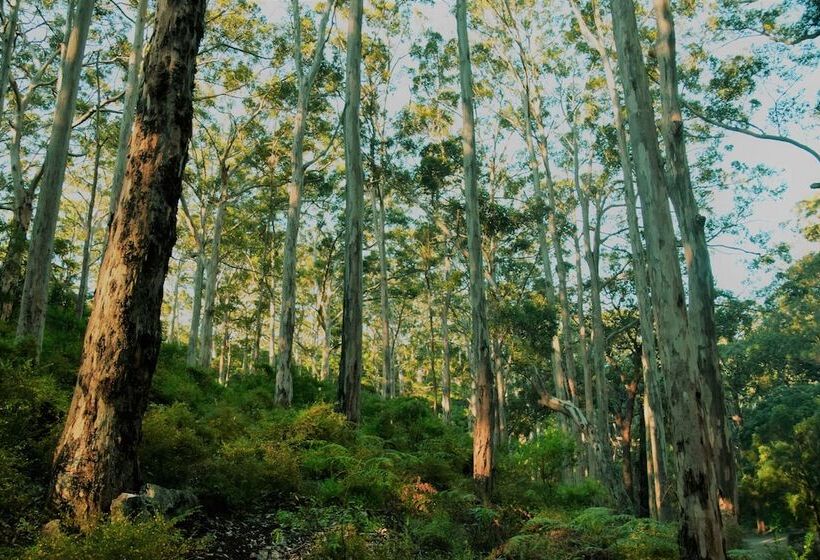 צימר Serenity House Pemberton