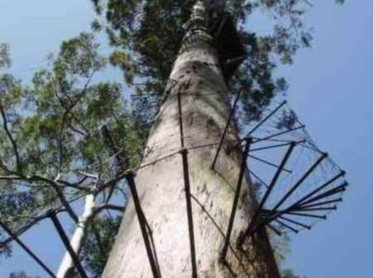 צימר Serenity House Pemberton