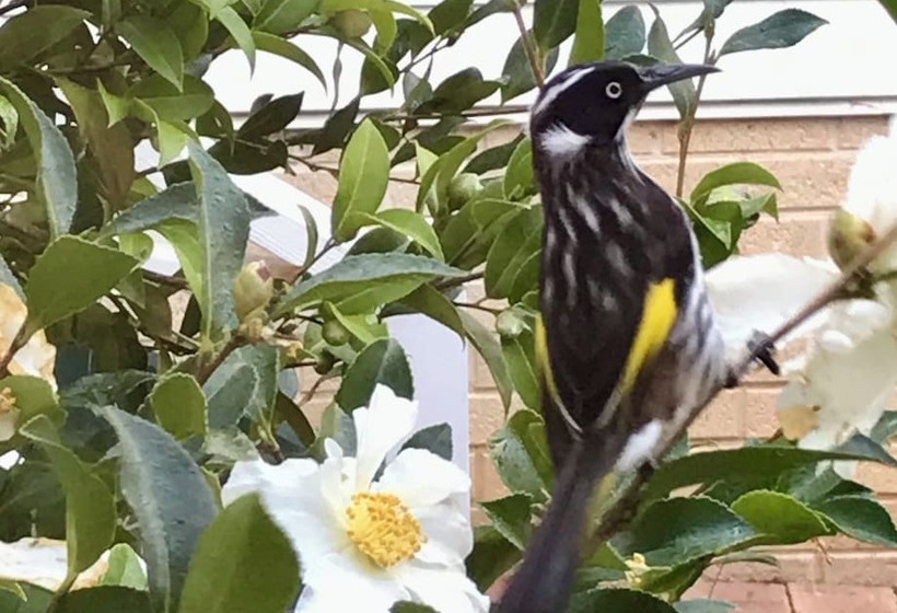 צימר Serenity House Pemberton