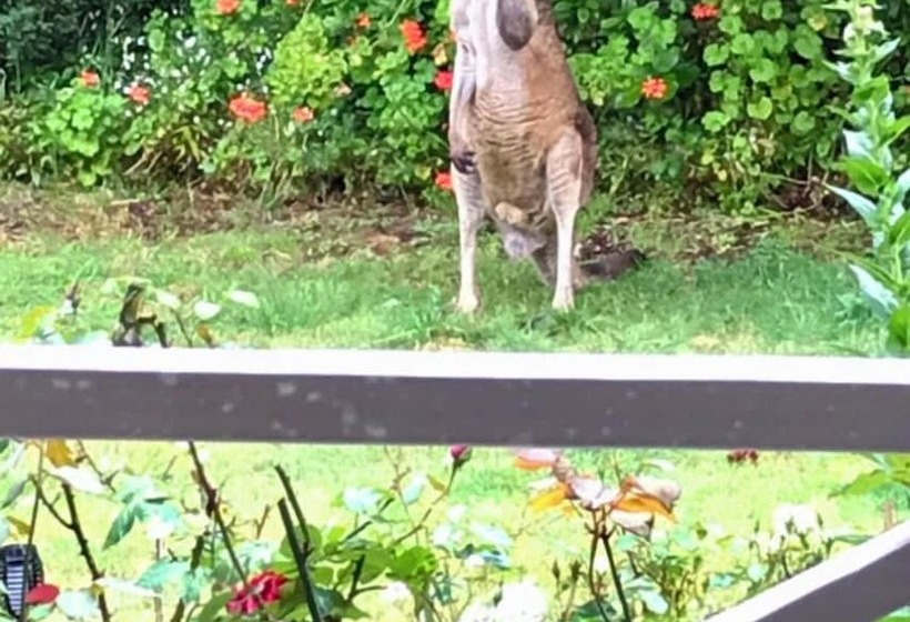 צימר Serenity House Pemberton