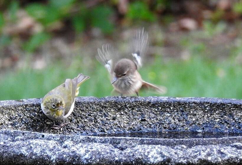 צימר Serenity House Pemberton