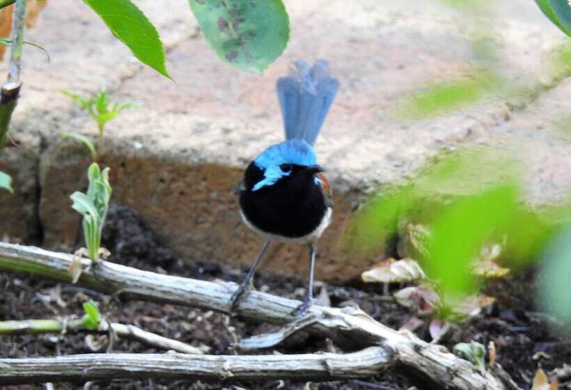 צימר Serenity House Pemberton