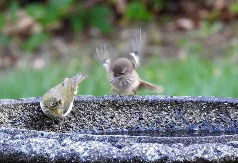 צימר Serenity House Pemberton