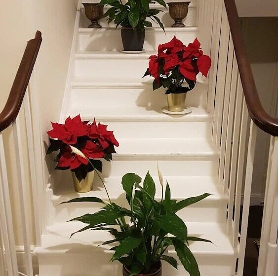 민박 Swollows House