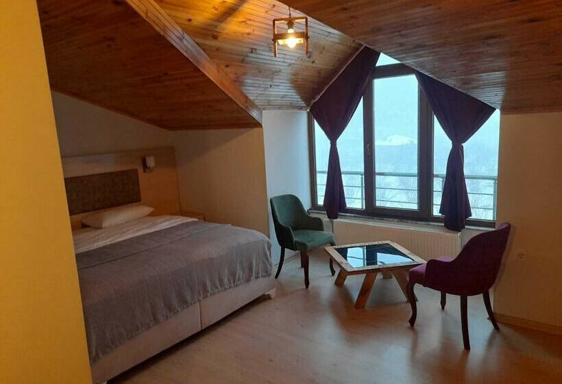 ベッドアンドブレックファースト Zeynep Ruya Hatun Otel