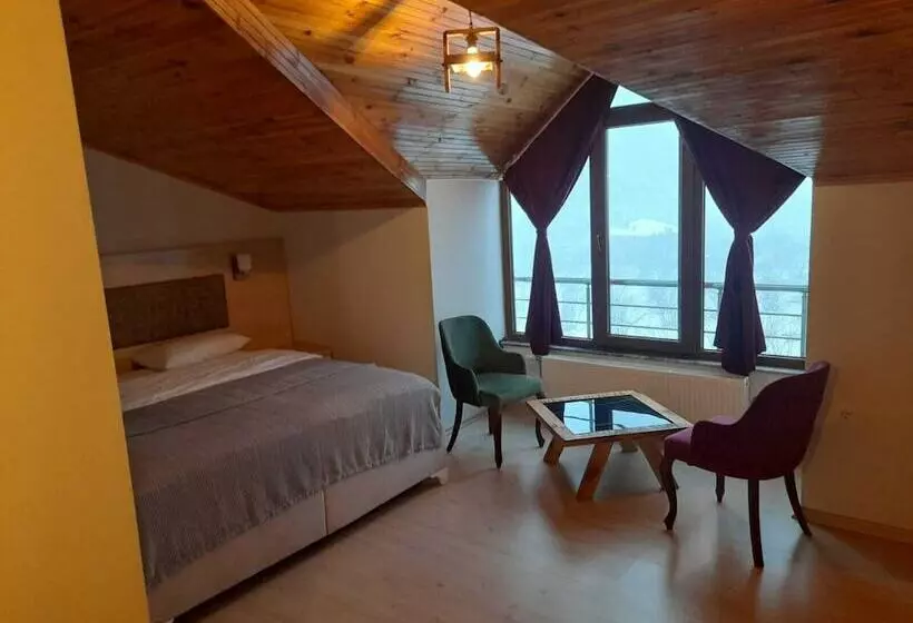 ベッドアンドブレックファースト Zeynep Ruya Hatun Otel