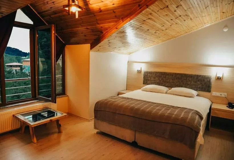 ベッドアンドブレックファースト Zeynep Ruya Hatun Otel