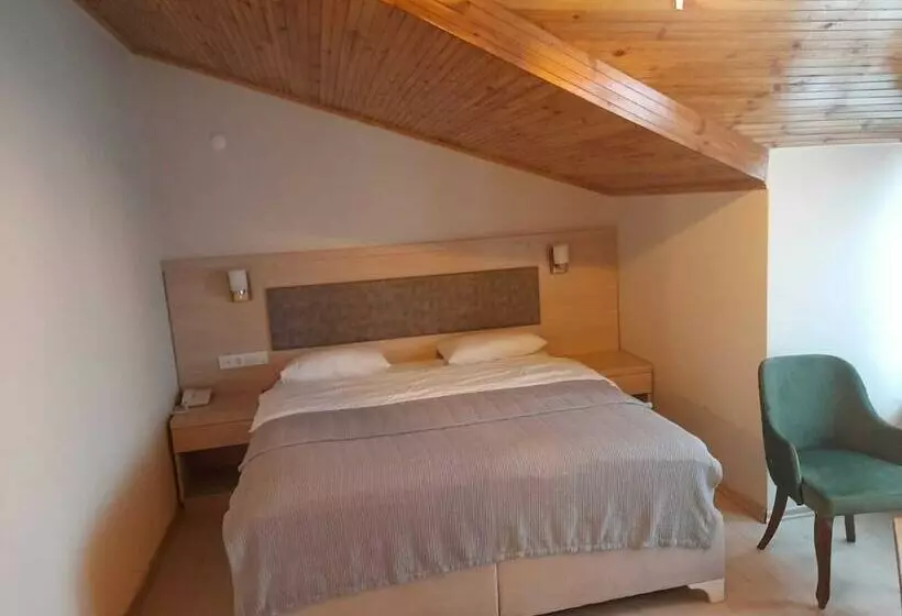 ベッドアンドブレックファースト Zeynep Ruya Hatun Otel