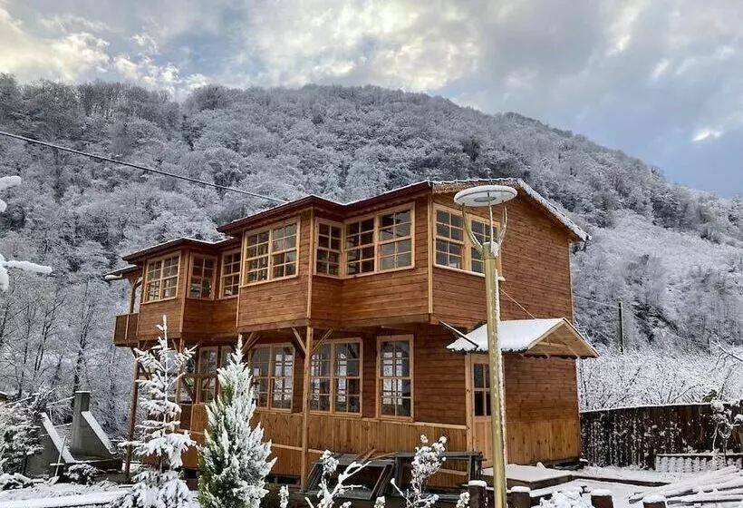 ベッドアンドブレックファースト Zeynep Ruya Hatun Otel