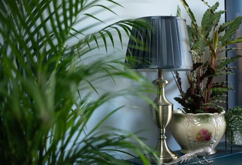 酒店 Unique Boutique Luxury Bed And Breakfast